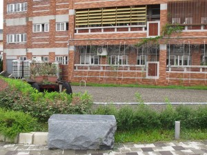 IMG_2800