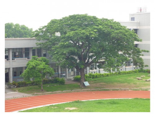 嘉義縣新港鄉月眉國小百年校慶--校園采風