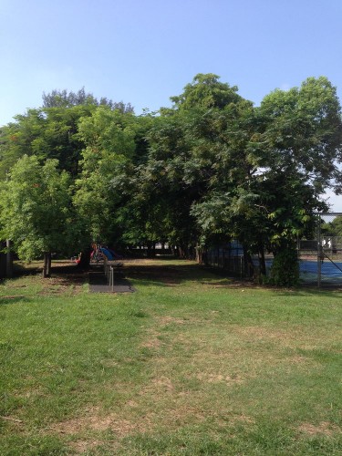 自然課程校園探索