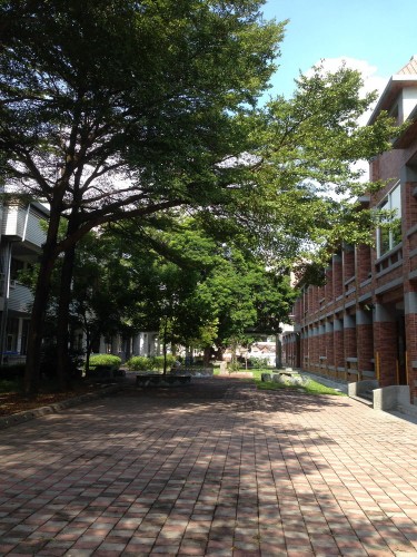 自然課程校園探索